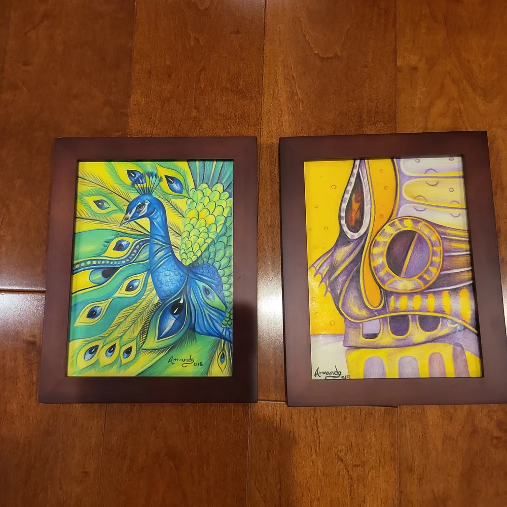 Two Color Pencil Paintings Framed